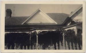 Primary view of object titled '[Grapevine on House]'.