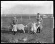 Photograph: [girls and goats]