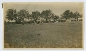 Primary view of object titled '[Butler Ranch Headquarters]'.