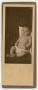 Thumbnail image of item number 1 in: '[Charles Kilgore as an Infant]'.
