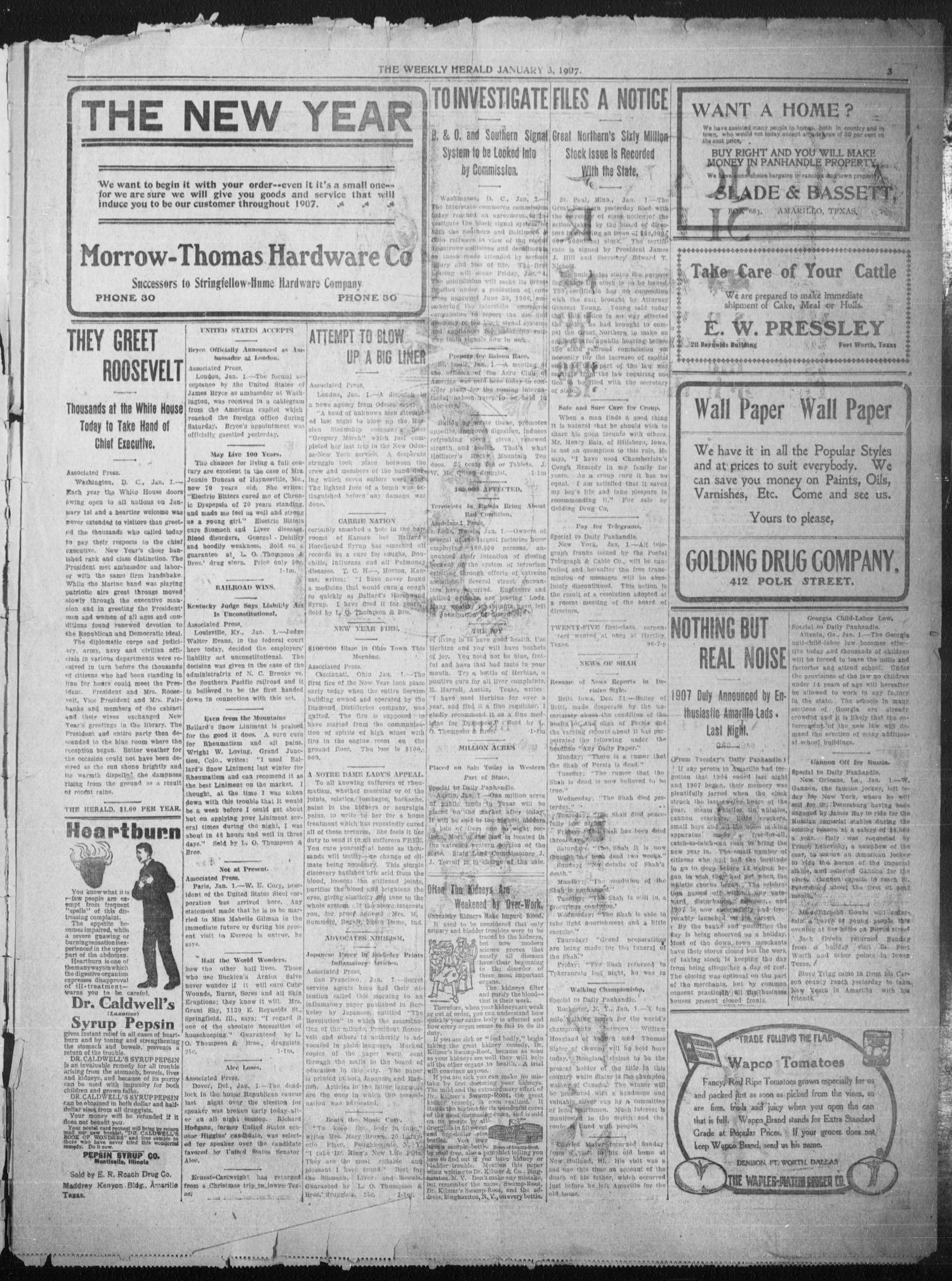 The Weekly Herald. (Amarillo, Tex.), Vol. 22, No. 1, Ed. 1 Thursday, January 3, 1907
                                                
                                                    [Sequence #]: 3 of 8
                                                