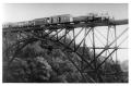 Thumbnail image of item number 1 in: '[Train on the bridge from Rio Jamapa at Tomatlán]'.