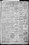 Thumbnail image of item number 3 in: 'The Dallas Daily Herald. (Dallas, Tex.), Vol. XXIVII, No. 222, Ed. 1 Saturday, August 13, 1881'.