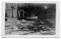 Thumbnail image of item number 1 in: '[Peoples Street when flooded]'.