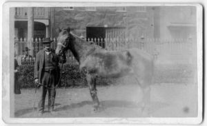 Primary view of object titled '[Man posing with horse in front of a wrought iron fence]'.