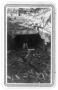 Thumbnail image of item number 1 in: '[Burned Out Interior of the Texas Theater - Palestine]'.