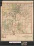 Map: Territory of New Mexico : compiled from the official records of the G…