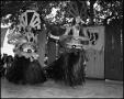 Photograph: [Polynesian Dancers Performing]