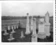 Photograph: [Barnett-Dyer Cemetery]