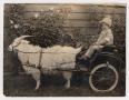 Photograph: [A Young Girl in a Goat-Drawn Wagon]