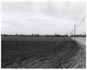 Primary view of object titled 'Grove Road, Richardson, Texas'.