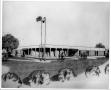 Thumbnail image of item number 1 in: '[Photograph of College Station City Hall Architect's Drawing]'.