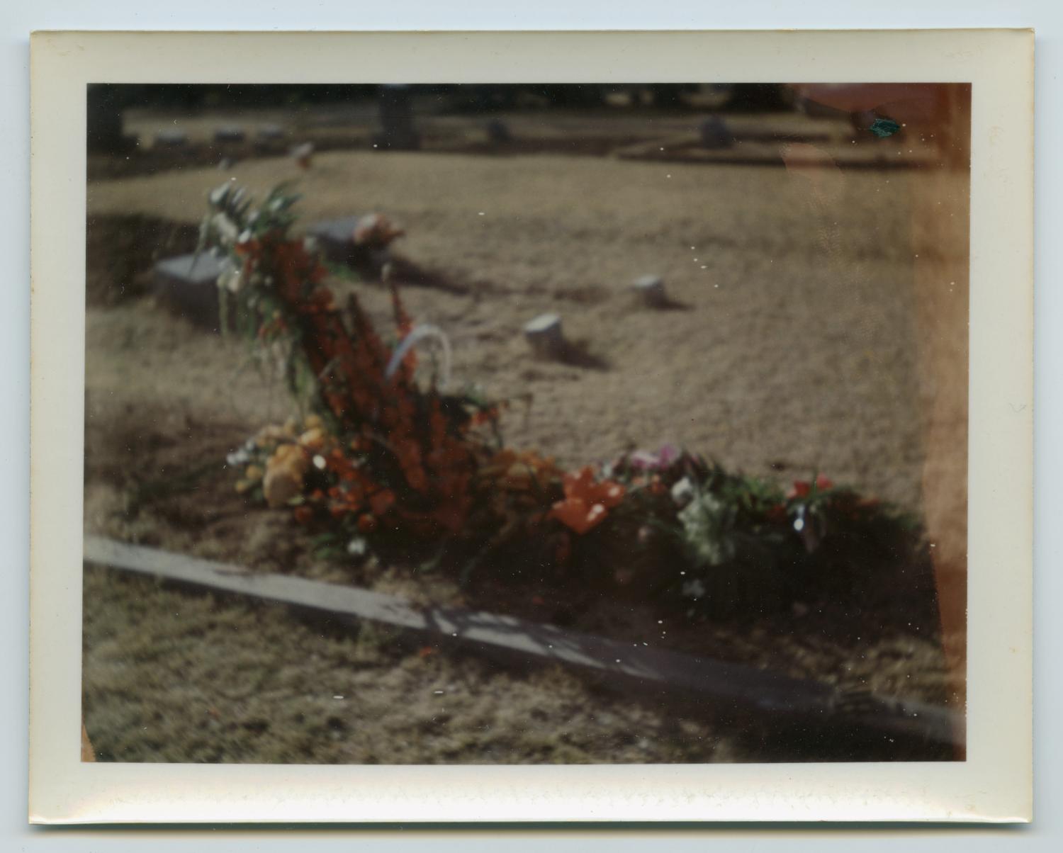 [Flowers at Grave for Wendell Lee Tarver]
                                                
                                                    [Sequence #]: 1 of 2
                                                