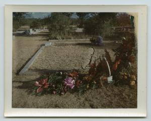 Primary view of object titled '[Side View of Grave for Wendell Lee Tarver]'.