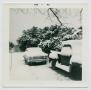 Primary view of [Snow in Burnet, Texas]