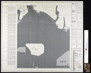 Primary view of object titled 'Flood Insurance Rate Map: Tarrant County, Texas and Incorporated Areas, Panel 317 of 595.'.