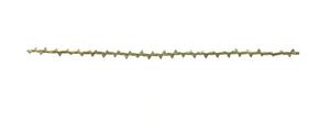 Primary view of object titled '[Crandal's Champion Barbed Wire]'.
