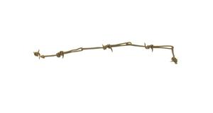 Primary view of object titled '[Telegraph Splice Barbed Wire]'.