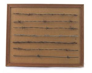 Primary view of object titled '[Framed Barbed Wire #3]'.