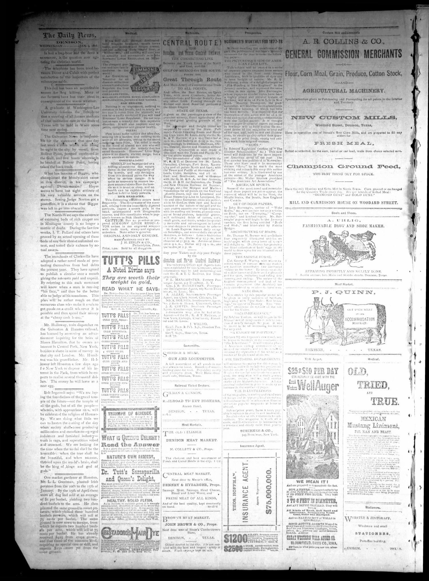 Denison Daily News. (Denison, Tex.), Vol. 5, No. 266, Ed. 1 Wednesday, January 9, 1878
                                                
                                                    [Sequence #]: 2 of 4
                                                