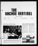 Primary view of The Sachse Sentinel (Sachse, Tex.), Vol. 11, No. 7, Ed. 1 Tuesday, July 1, 1986