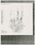 Legal Document: [Photocopies of Lee Harvey Oswald's hand prints]