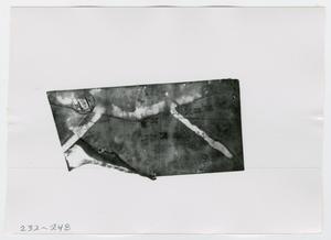 Primary view of object titled '[Document, Photograph #6]'.