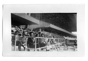 Primary view of object titled 'Marie Burkhalter and a group of people sitting in the stands'.
