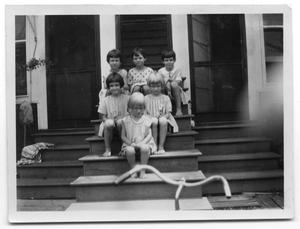Primary view of object titled 'The Delaney and Vise children sitting on the steps of a house'.