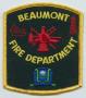 Primary view of [Beaumont, Texas Fire Department Patch]