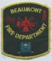 Physical Object: [Beaumont, Texas Fire Department Patch]