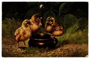 Primary view of object titled '[Three Baby Chicks]'.