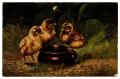 Thumbnail image of item number 1 in: '[Three Baby Chicks]'.