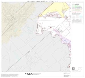 Primary view of object titled '1990 Census County Block Map (Recreated): Caldwell County, Block 9'.