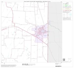 Primary view of object titled '1990 Census County Block Map (Recreated): Grayson County, Block 31'.