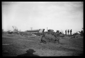 Primary view of object titled '[Photograph of Higgins and Glazier, Texas Tornado Aftermath]'.