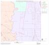 Thumbnail image of item number 1 in: '1990 Census County Block Map (Recreated): Dallas County, Block 23'.