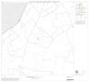 Thumbnail image of item number 1 in: '1990 Census County Block Map (Recreated): Starr County, Block 7'.