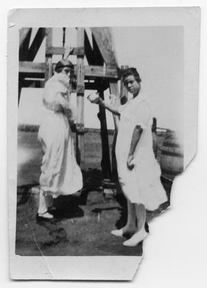 Primary view of object titled 'Two Women with Windmill'.