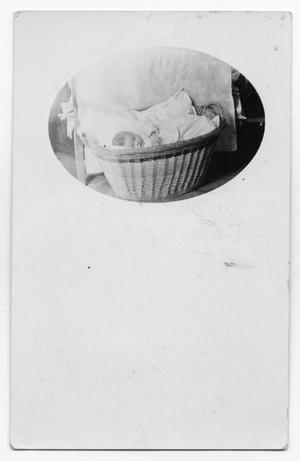 Primary view of object titled 'Baby in a Basket'.
