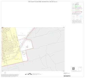 Primary view of object titled '1990 Census County Block Map (Recreated): Nolan County, Inset A04'.