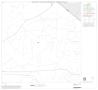Thumbnail image of item number 1 in: '1990 Census County Block Map (Recreated): Brewster County, Block 11'.