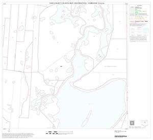 Primary view of object titled '1990 Census County Block Map (Recreated): Cameron County, Block 21'.