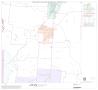 Map: 1990 Census County Block Map (Recreated): Denton County, Block 22