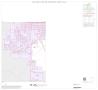 Map: 1990 Census County Block Map (Recreated): Scurry County, Inset A03