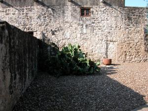 Primary view of object titled 'Alamo and grounds'.