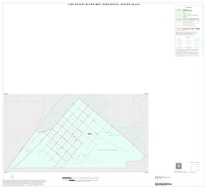 Primary view of object titled '1990 Census County Block Map (Recreated): Medina County, Inset E01'.
