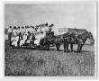 Primary view of Men and Women on Hay Wagon