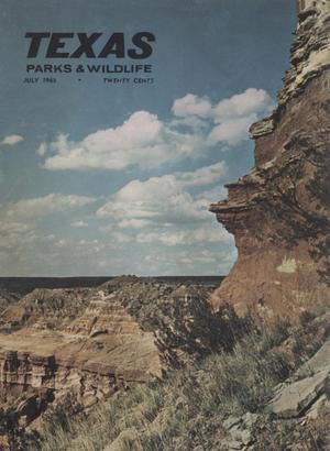 Primary view of object titled 'Texas Parks & Wildlife, Volume 23, Number 7, July 1965'.