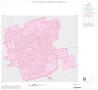 Thumbnail image of item number 1 in: '1990 Census County Block Map (Recreated): Andrews County, Inset A01'.